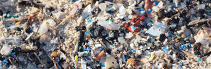 Microplastics In Our Blood